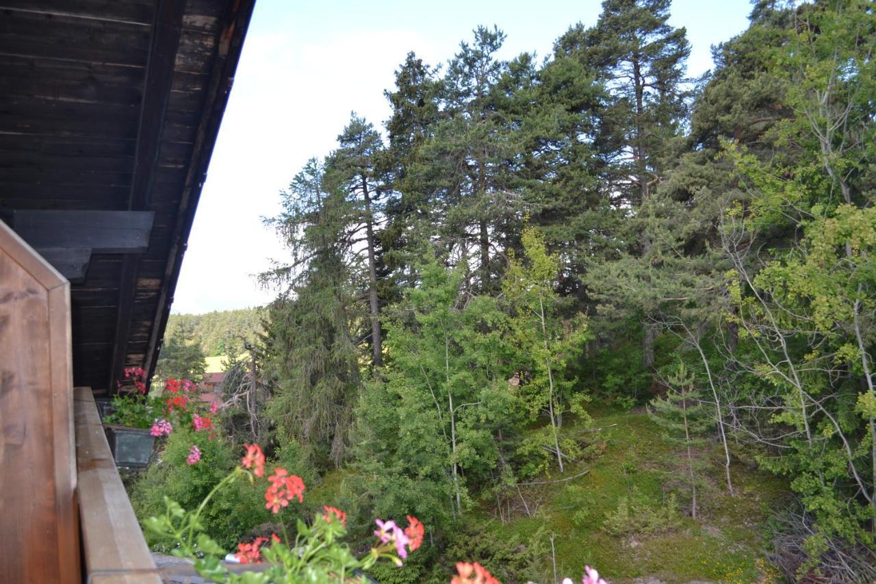 Gasthof Zum Gruenen Baum Verano Luaran gambar